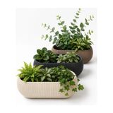 3'lü Uzun Saksı Seti, 1,3 Litre, Karışık Renkli, Plastik, Dikdörtgen, 25-30 cm - Çok Renkli
