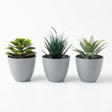 3’lü Yapay Sukulent Bitki Seti – Saksılı Dekoratif Masaüstü Yapay Bitkiler, Modern Ev ve Ofis Dekoru için Mini Saksı Bitki Seti (8 cm)