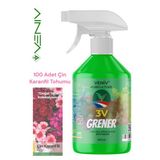 3V Grener 500 Ml Bitki Besini + 100 Adet Çin Karanfili Tohumu – Renkli, Zarif Ve Dayanıklı Çiçekler