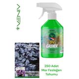 3V Grener 500 ml Bitki Besini + 250 Mor Fesleğen Tohumu | Eşsiz Renk, Yoğun Aroma