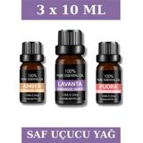 3X10 ml Esans Lavanta ,pudra , Amber Koku Buhurdanlık Yağı ve Aromaterapi Yağı - Şeffaf