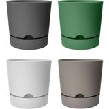4 Adet Begonya Saksı Tabaklı Drenajlı Mat Plastik Çiçek Saksısı (Karışık, 9 Litre)