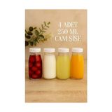 4 Adet Beyaz Plastik Kapaklı 250 ml Şeffaf Sürahi Süt, Ayran, Su, Limonata, Meşrubat Şişesi Cam Şişe - Option-1