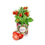 4 Adet Konserve Domates Yetiştirme Kiti Kb002