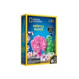 4 Adet National Geographic Kristal Bitki Kiti