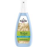 4 Adet Palette Kalıcı Doğal Renkler Renk Açıcı Sprey 150 ml