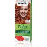 4 Adet Palette Saç Boyası Natural Colors 8-77 30 ml