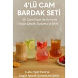 4 Adet Premium Cam Bardak Cam Pipet Hediyeli– Soğuk Kahve, Limonata Ve Soda Sunumlar 500 Ml