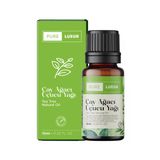 4 Adet Pure Lueur Uçucu Yağ Çay Ağacı 10 Ml