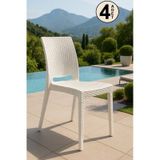 4 Adet Rattan Kolsuz Beyaz Sandalye Balkon Bahçe Teras Beyaz