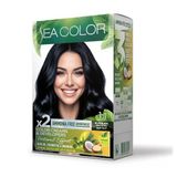 4 Adet Sea Color Amonyaksız Saç Boyası 1.1 Mavi Siyah