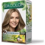 4 Adet Sea Color Amonyaksız Saç Boyası 8.0 Açık Kumral