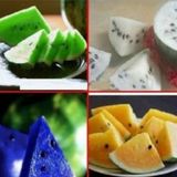 4 Farklı Renk Karpuz Tohumu 8 Adet Tohum