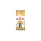 4 Kg British Shorthair Yetişkin Kedi Maması, Özel Formül