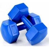 4 kg Plastik Dambıl Seti, 4 Adet, Toplam 8 Kg, Sağlam ve Hafif Fitness Aleti - Ahşap Bej - Siyah