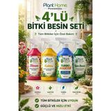 4 Lü Bitki Bakım Seti , Orkide Bitki Vitamini ,Bloom Çiçek Açtıran ,Turbo Booster , Kaktüs Besini