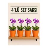 4 Lü Turuncu Renk Orkide Saksısı