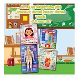 4 Set 127 Parça İskelet , İç Organlar Sistemi , Takvim ve Duyguları Öğreniyorum Keçe Cırtlı Duvar Panoları , Eğitici Oyuncak