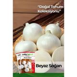 400 Adet Ata Tohumu Beyaz Soğan
