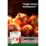 400 Adet Ata Tohumu Sarı Soğan