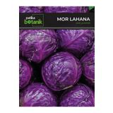 400 Adet Yerli Ata Kırmızı (Mor) Lahana Tohumu