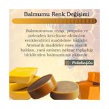 (400 Gram) Doğal Katkısız Saf Beeswax Arı Mum - 0,75 kg