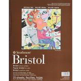400 Serisi Bristol, 2 Katmanlı Parşömen Kağıdı, 27,9 x 35,6 Cm, Ciltli, 15 Yaprak - Standart