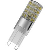 4058075432369 LED Ampul Star Pin cl 30 2.6W 4000 Kelvin Beyaz Işık G9 Duy - Altın