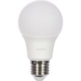 40W LED Ampul, 6500K Beyaz Işık, E27 Normal Duy - Altın