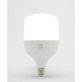 40W Yüksek Performanslı LED Torç Ampul, E27 Duy, 6500K Beyaz Işık, 3400LÜMEN - Çok Renkli