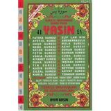 41 YASIN (ORTA BOY-2 RENK-TÜRKÇE OKUNUŞLARI VE AÇIKLAMALARI) - ELMALILI MUHAMMED HAMDI YAZIR