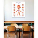 43 Cici Süsler Organizasyon Vücudun Bölümleri Okul Poster Ingilizce Pvc Kaplı 30X42 cm Erkek