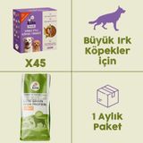 45 Adet Kito Fresh Hindi Etli Köpek Yemeği %100 Taze İçerikli Mama+ 15 kg Yetişkin Köpek Maması