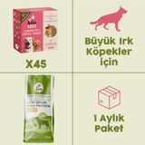45 Adet Kito Fresh Somon Etli Köpek Yemeği %100 Taze İçerikli Mama+ 15 kg Yetişkin Köpek Maması