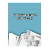 450 Gr. Amerikan Bristol Kağıt Karton 50x70 100 Adet (15,75 KG)