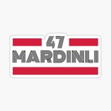 47 MArdinli Plaka Araba Sticker Yapıştırması