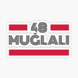 48 Muğlalı Plaka Araba Sticker Yapıştırması