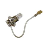 48V H3 Ampul 60W
