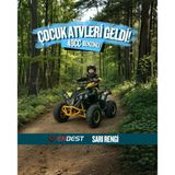 49 Cc Benzinli Çocuk Atv 4-12 Yaş - Sarı