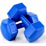 4KG PLASTİK KÖŞELİ DAMBIL 2 PARÇA-Findit