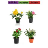 4'lü Bahçe Seti Kırmızı+ Beyaz+ Sarı+ Pembe Gül Fidanları (15-25 Cm) Dış Mekan Bitkileri, BTSNU2102202418