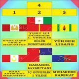 4'Lü Birleştirilmiş Şerit Rozet Çok Renkli