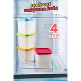 4'lü Çok Renkli Derin Dondurucu Saklama Kabı, No Frost, 4x0,38 Lt - Açık Beyaz - Gri - Seçenek 1