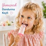 4'lü Ev Tipi Dondurma Kalıbı Meybuz Yapma Kabı Meyve Suyu Dondurma Kalıbı Plastik Buz Kalıbı Bpa'sız Sariva Home