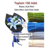 4'lü Şönil Seti 100 Parça Beyaz Saks Mavi Açık Mavi Açık Yeşil 30 cm Tüylü Tel - Çok Renkli