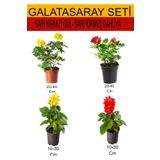 4'lü Takım Seti Sarı-Kırmızı Gül+Sarı- Kırmızı Dahliya Çiçeği, BTSNU08042425