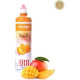 4rr Mango Meyve Püresi – Doğal, Katkısız, Yoğun Aromalı, 750 ml - 1 kg