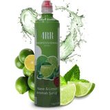 4rr Nane & Limon Aromalı Kahve & Tropikal Içecek & Kokteyl Şurubu 750 ml - 1 kg