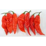 5 Adet Bhut Jolokia Çok Acı Biber Tohumu- Dünyanın En Acı Biberi