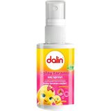 5 Adet Dalin Kolay Tarama Spreyi 50 ml